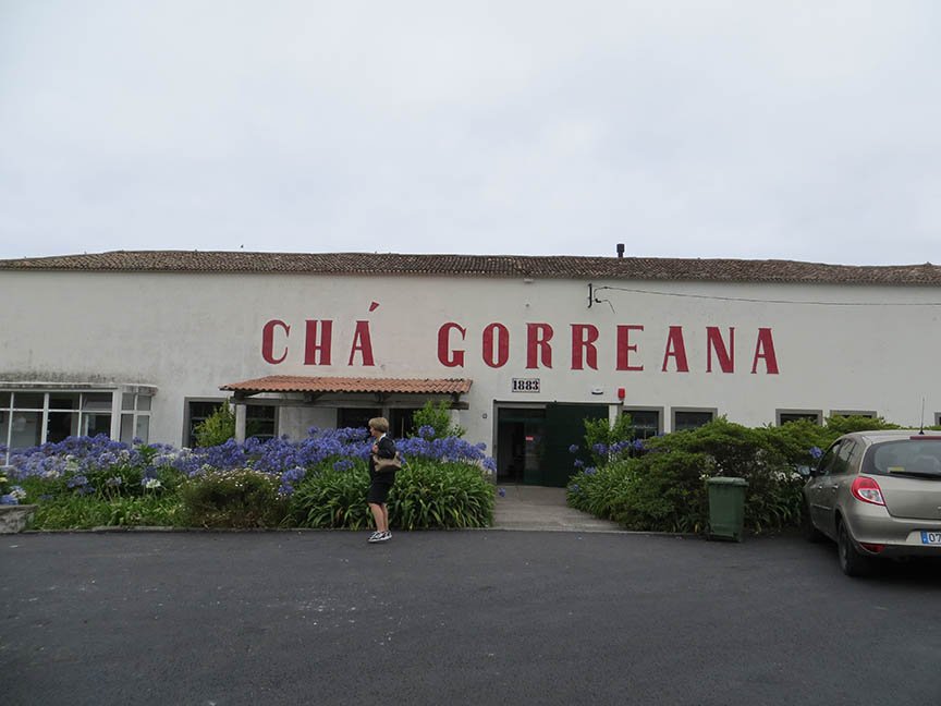Gorreana Tea Plantation