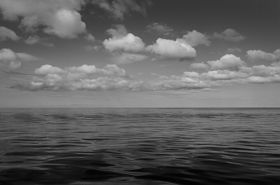 Whale Watching