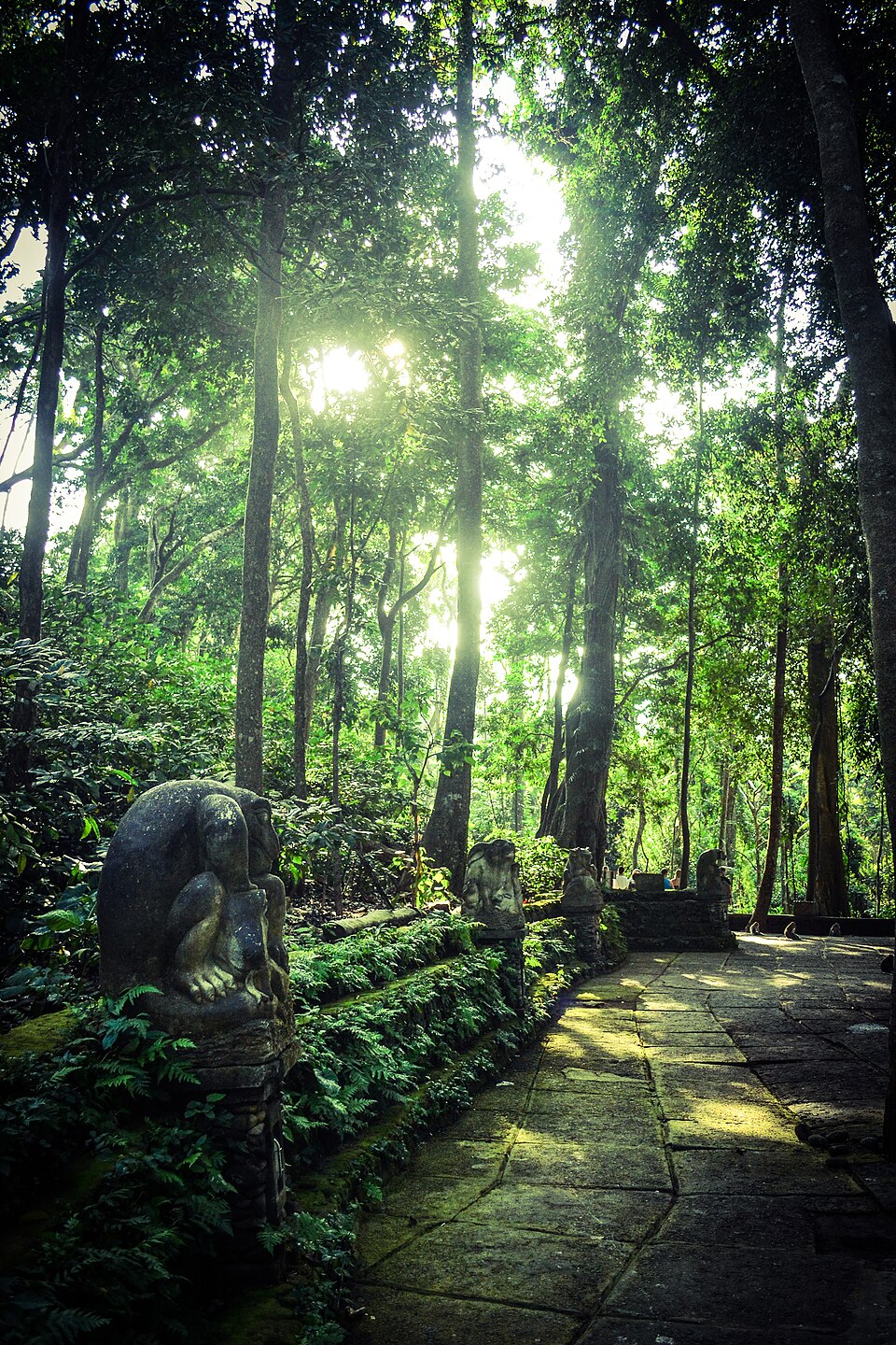 Sacred Monkey Forest Sanctuary