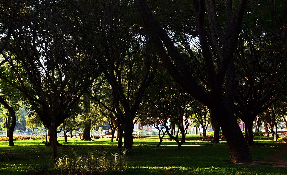 Cubbon Park and Vidhana Soudha
