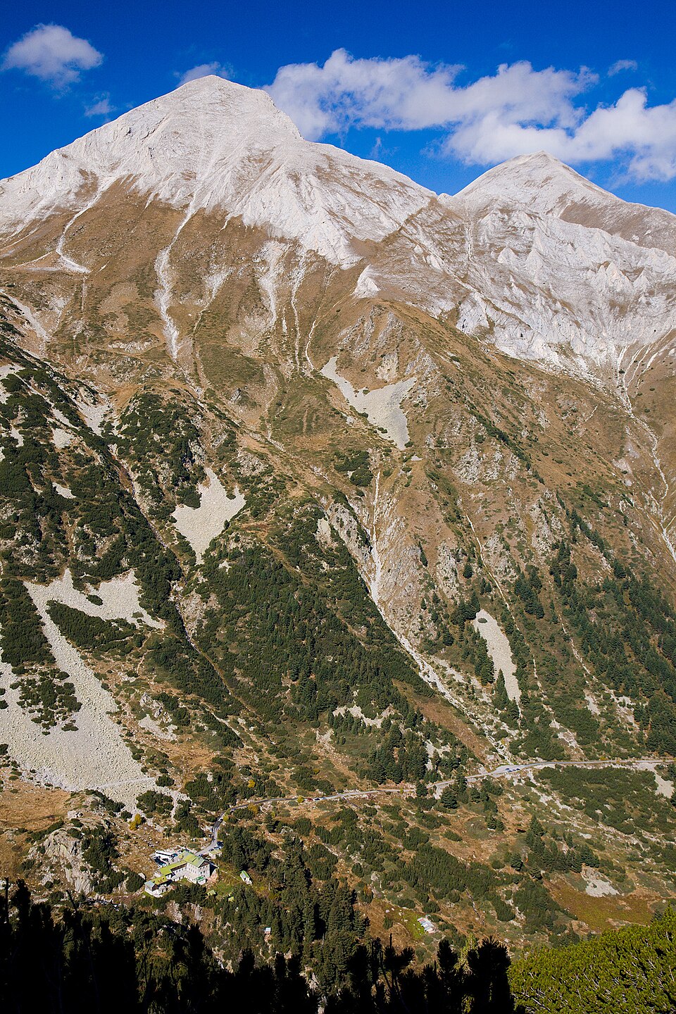 Vihren