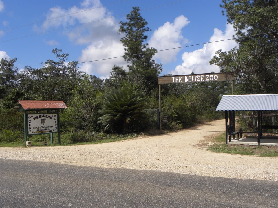 Belize Zoo