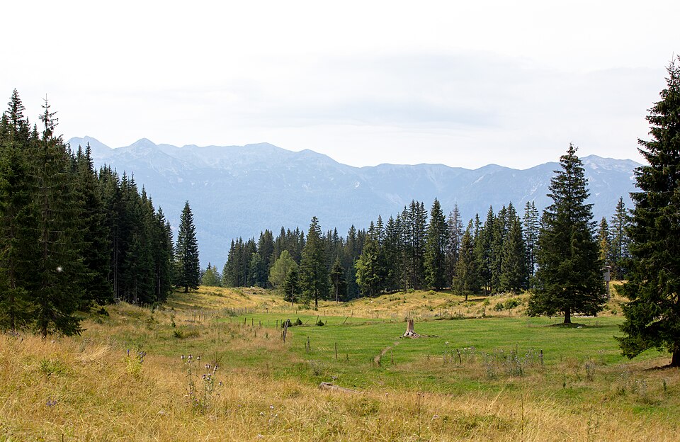 Pokljuka