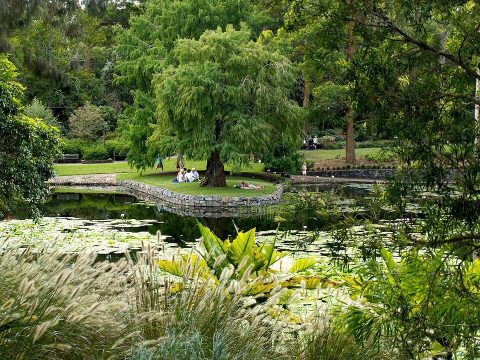 Mount Coot-tha