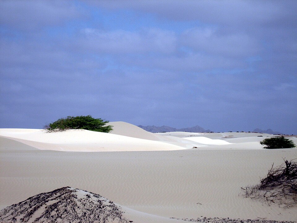 The Viana Desert