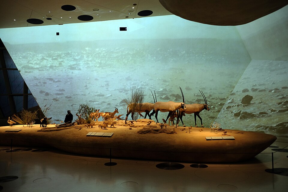 National Museum of Qatar