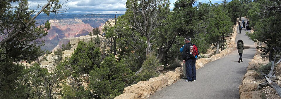 Rim Trail and Yavapai