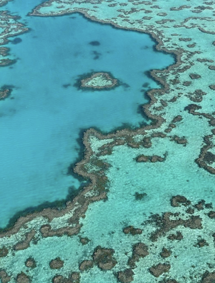 Heart Reef