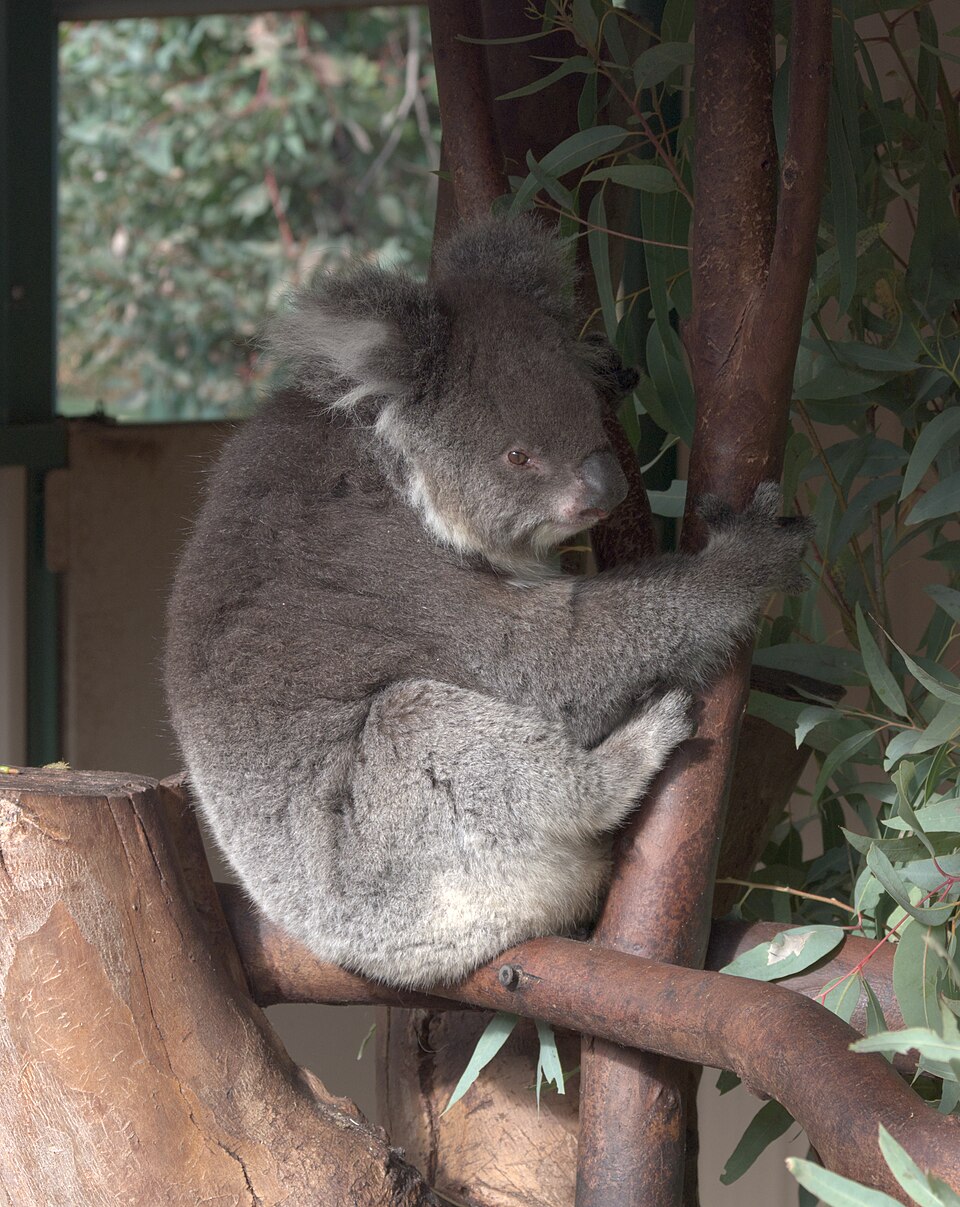 Caversham Wildlife Park