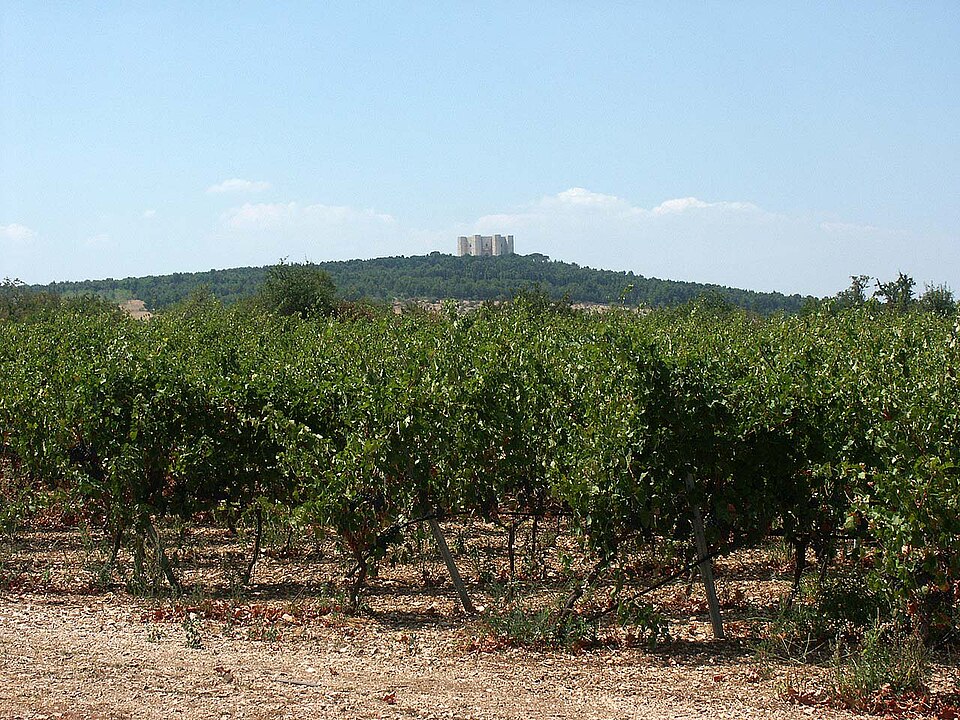 Castel del Monte