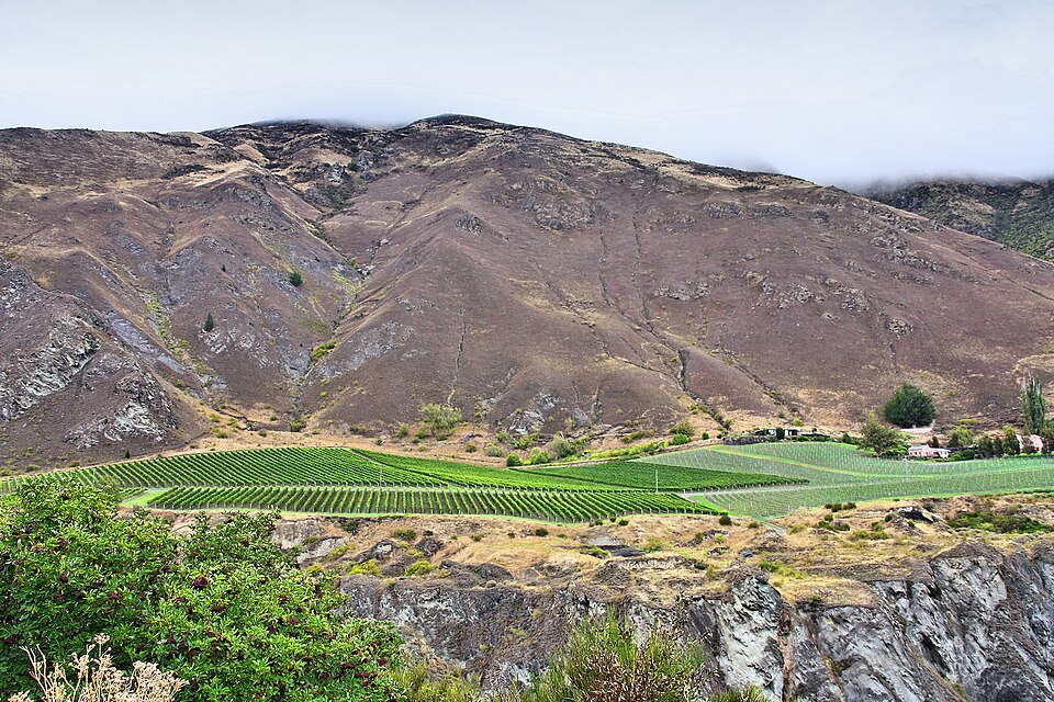 Gibbston Valley wine region