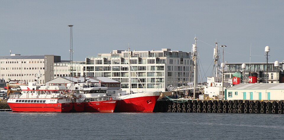 Old Harbour and whale watching