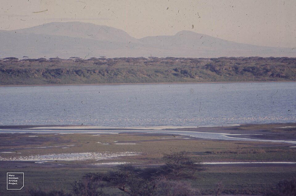Ndutu and the southern plains