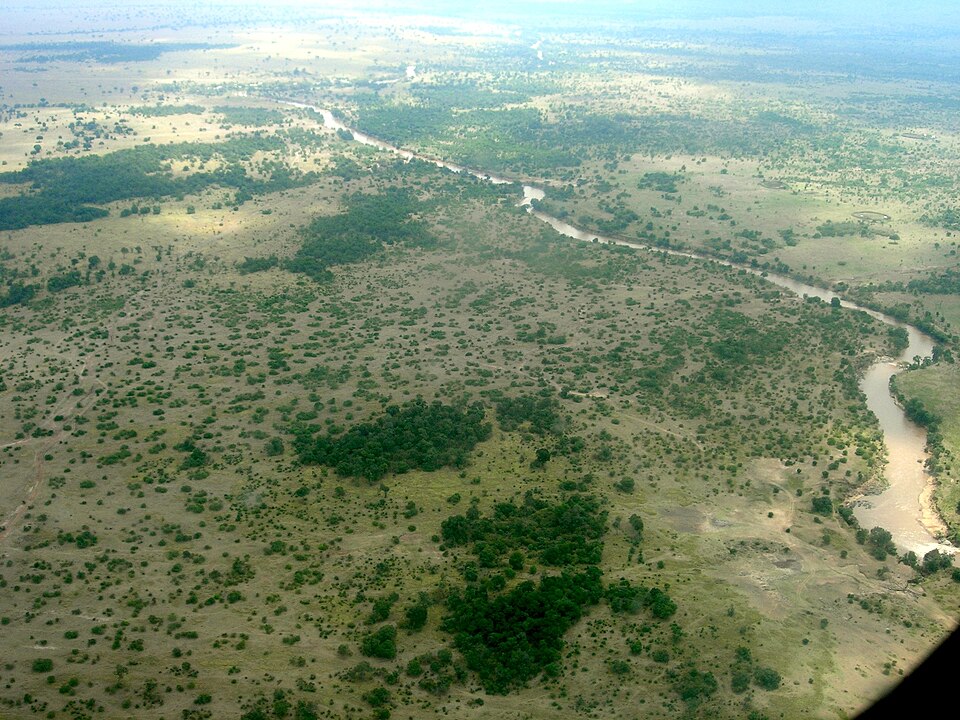 Mara River crossings