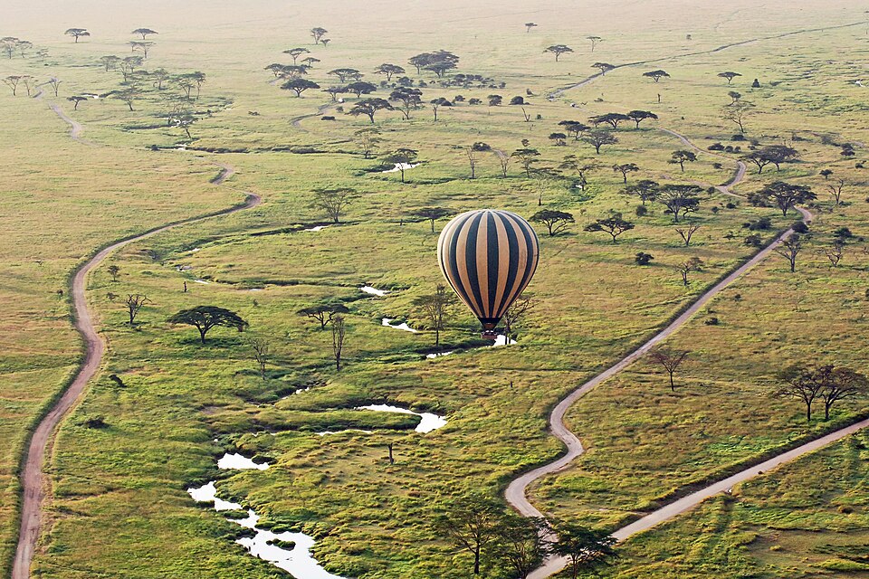 Hot-air balloon safari