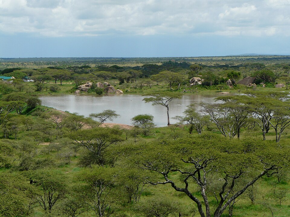 Seronera Valley