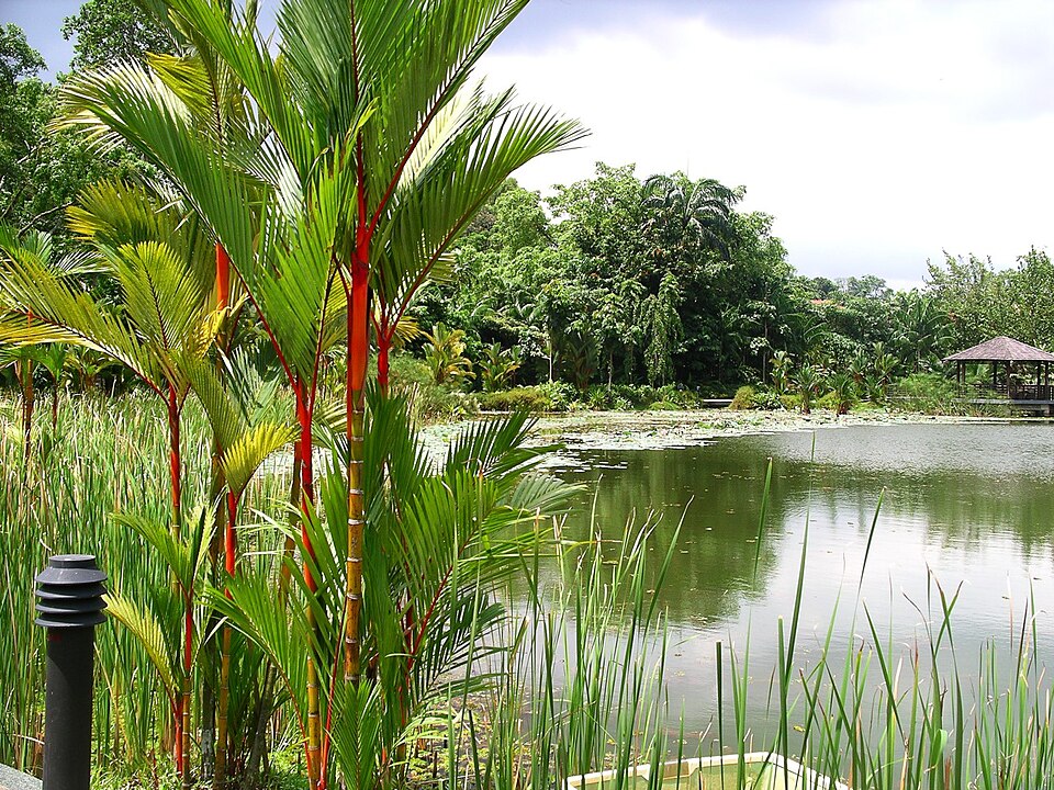 Botanická zahrada