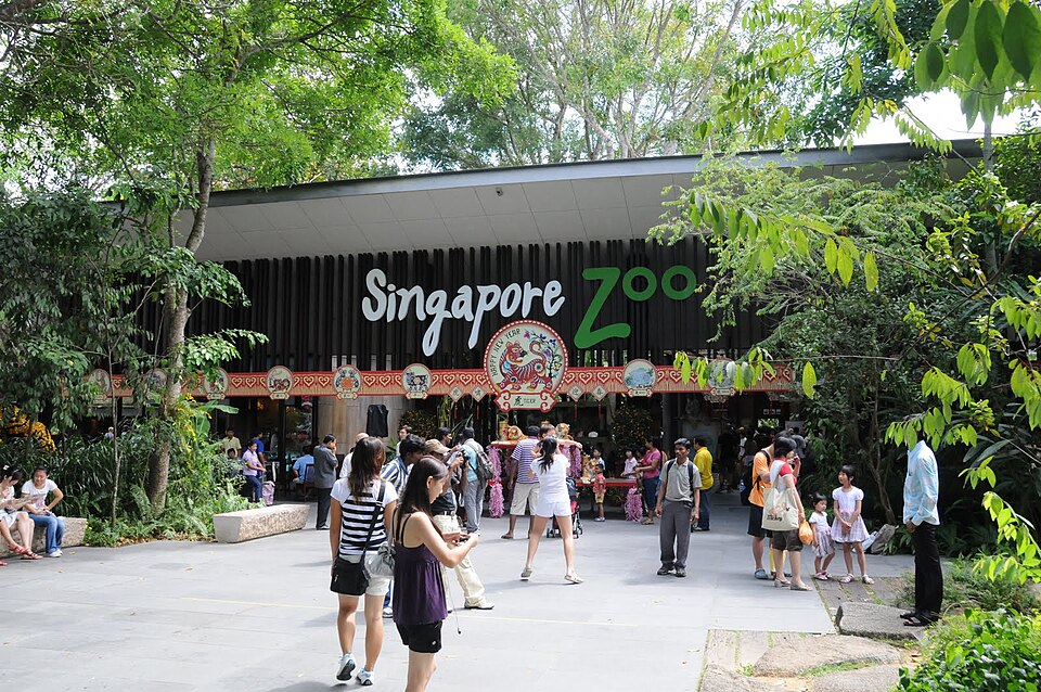 Singapurská zoo a Night Safari