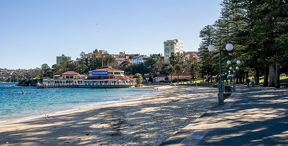 Manly Ferry