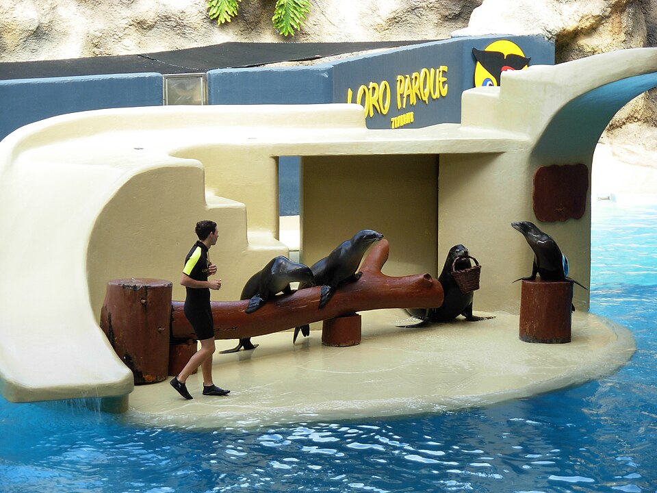 Loro Parque