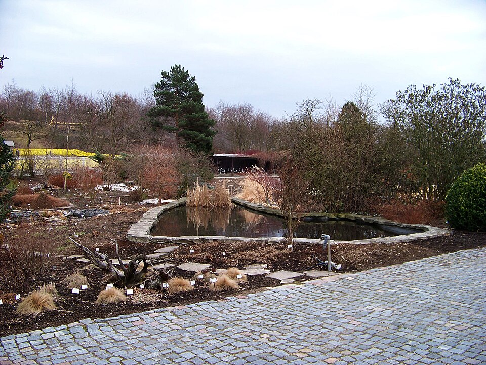 The Botanical Garden