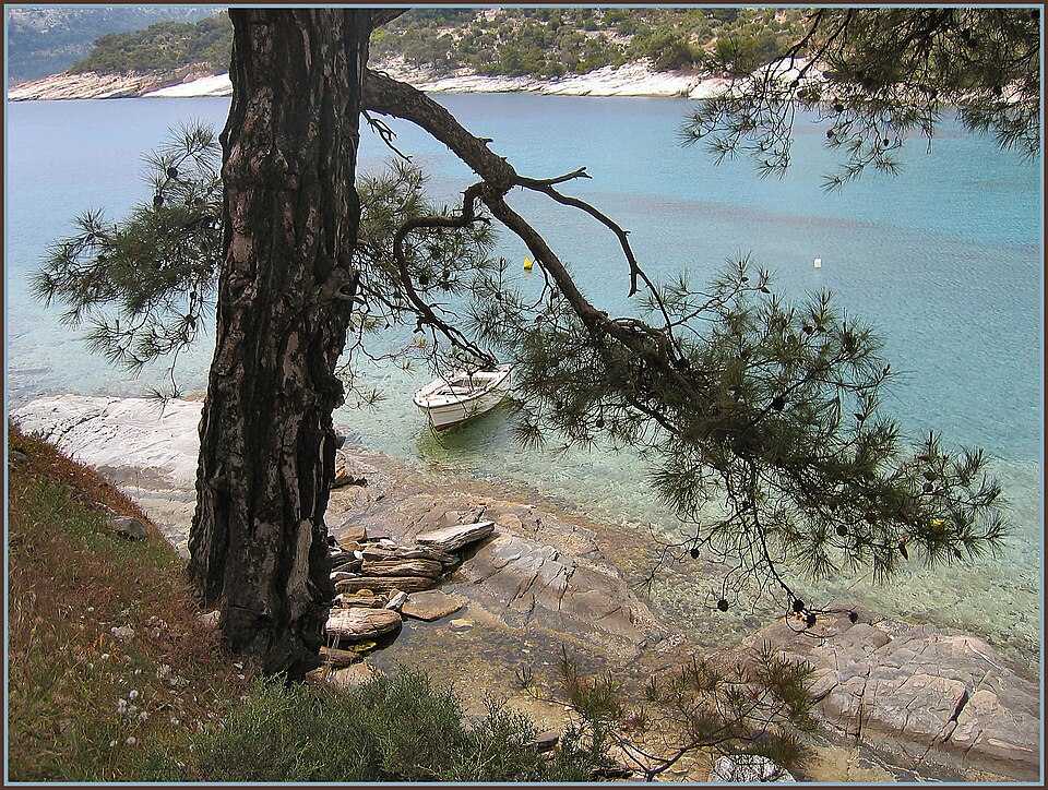 Aliki