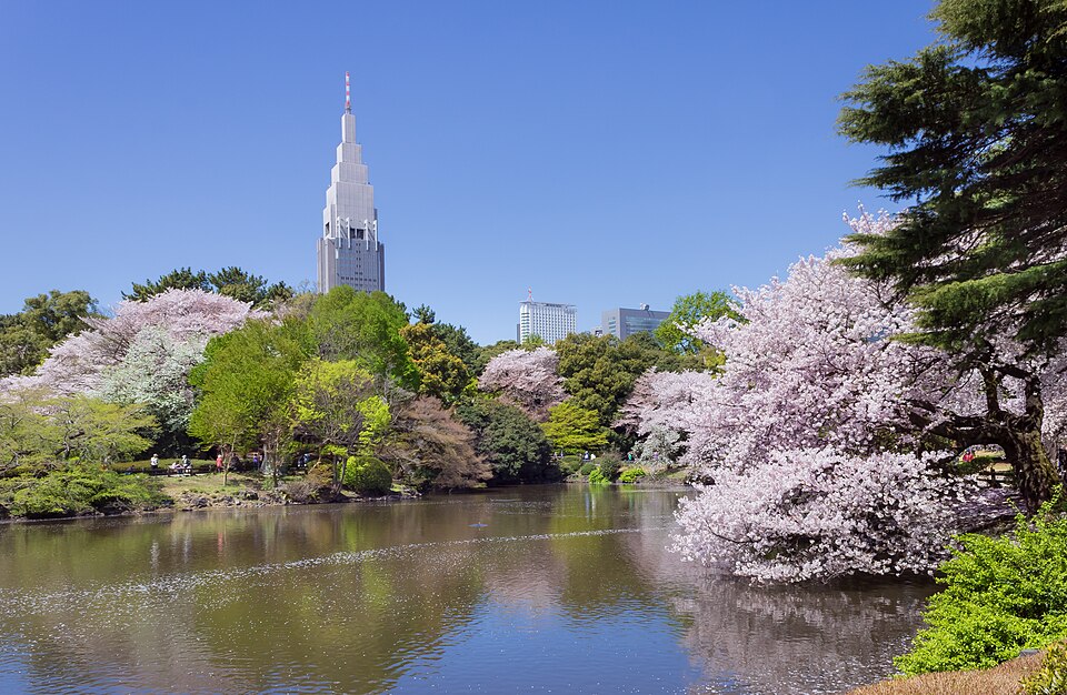 Shinjuku Gyoen Garden