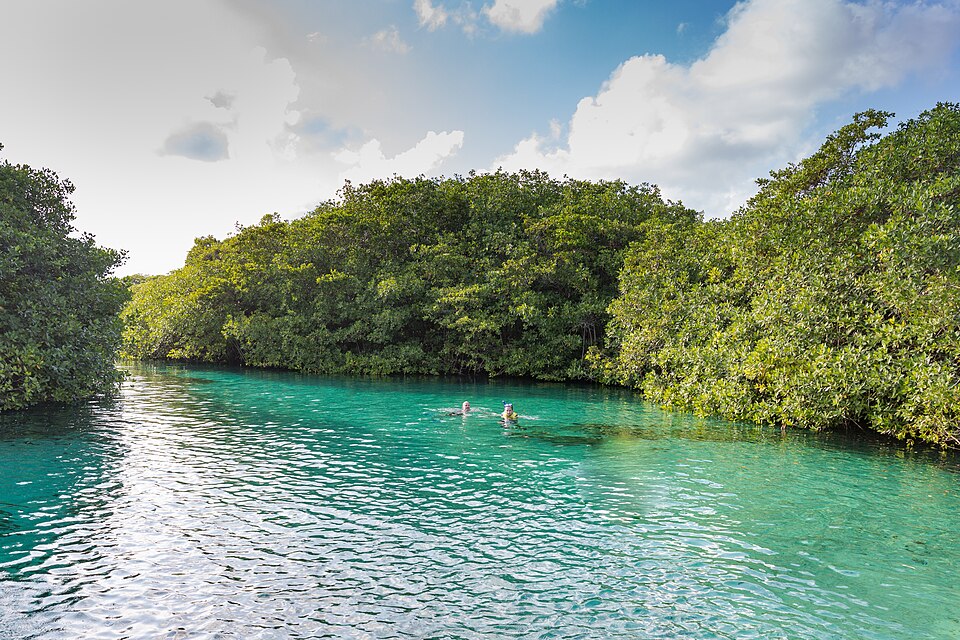 Casa Cenote