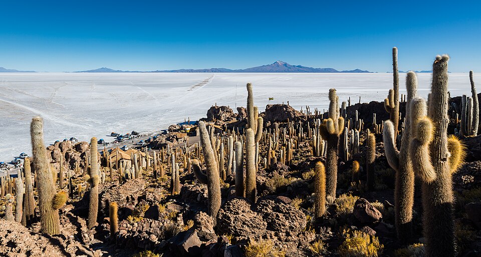 Incahuasi Island