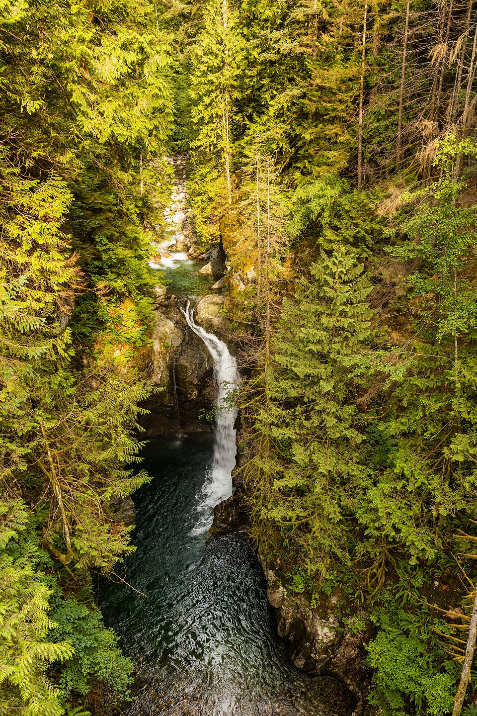 Lynn Canyon Park