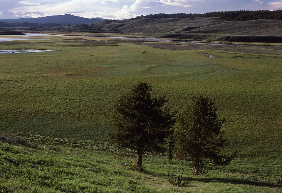 Hayden Valley