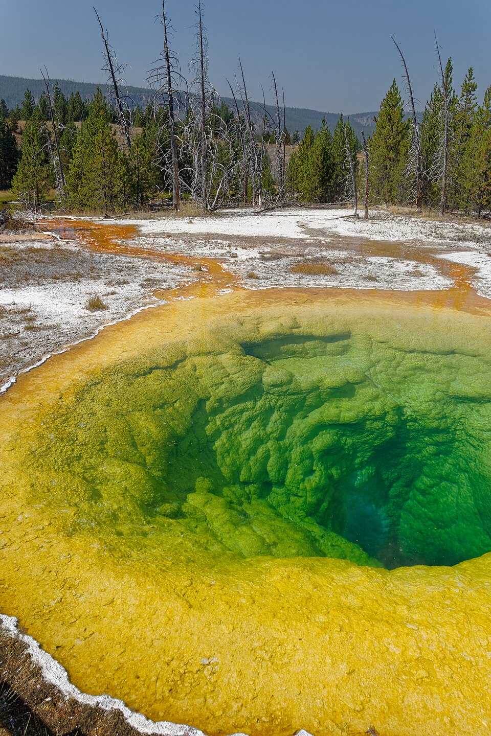 Upper Geyser Basin
